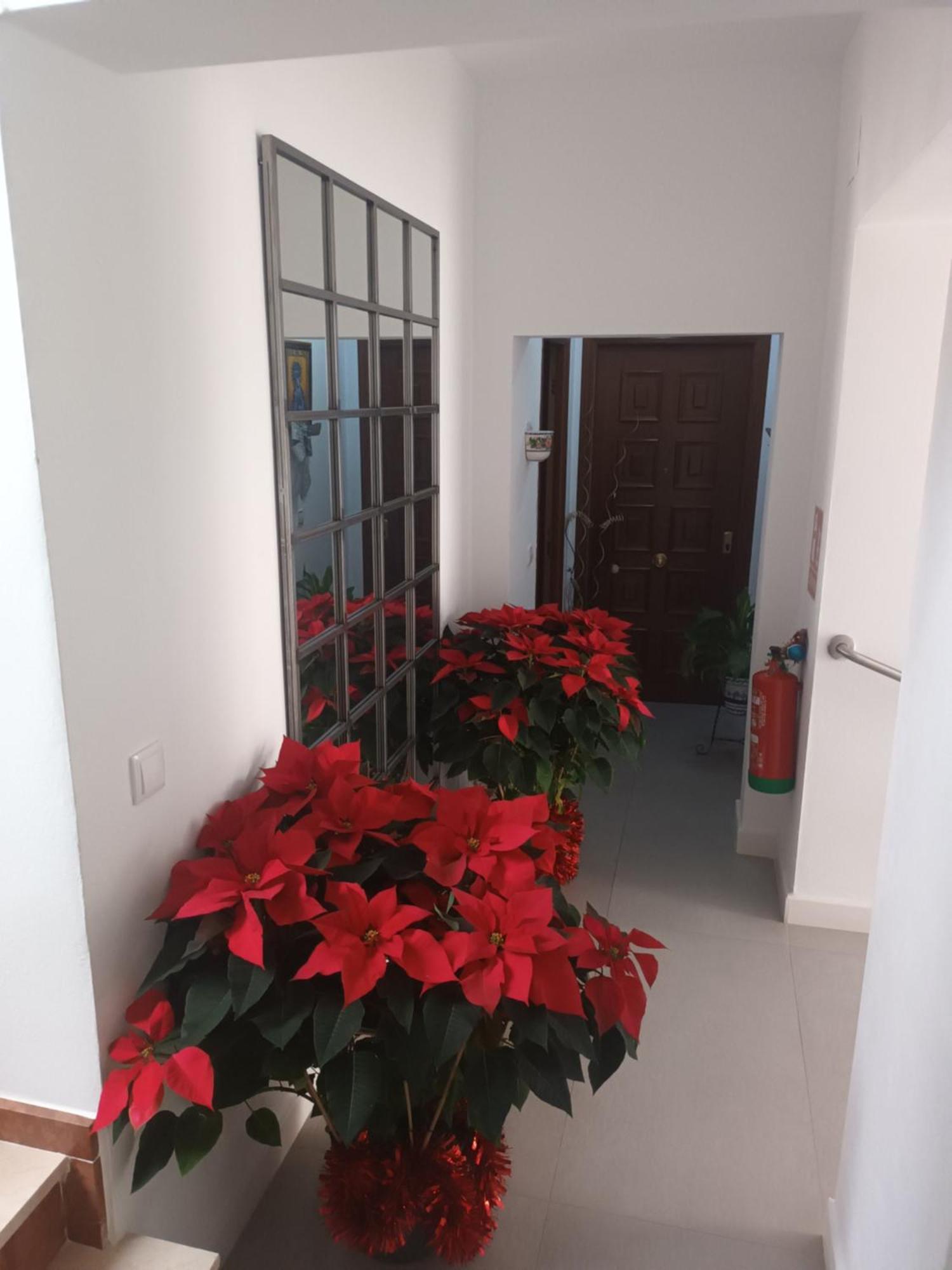 Casa San Mateo Apartment Kordoba Bagian luar foto